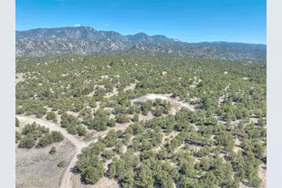 10333 Outpost Lane, Nathrop, CO 81236 - Photo 26