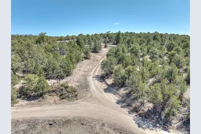 10333 Outpost Lane, Nathrop, CO 81236 - Photo 20