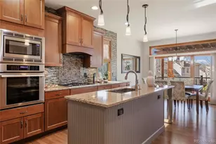 9233 Princeton St, Highlands Ranch, CO 80130 - Photo 16