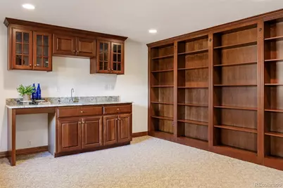 9233 Princeton Street, Highlands Ranch, CO 80130 - Photo 38