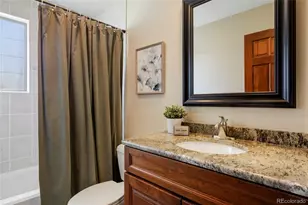 9233 Princeton St, Highlands Ranch, CO 80130 - Photo 36