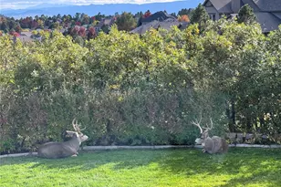 990 Glen Oaks Ave, Castle Pines, CO 80108 - Photo 28