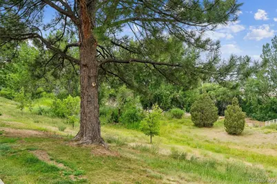 2910 W Long Circle #D, Littleton, CO 80120 - Photo 4
