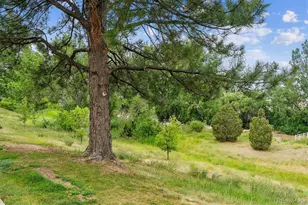 2910 W Long Cir, Littleton, CO 80120 - Photo 4