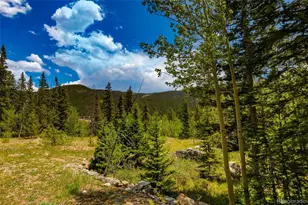 522 Quartzville Rd, Alma, CO 80420 - Photo 1