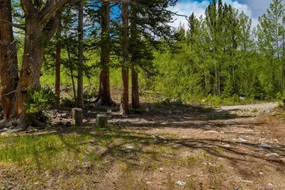 522 Quartzville Road, Alma, CO 80420 - Photo 22