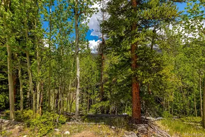 522 Quartzville Road, Alma, CO 80420 - Photo 20