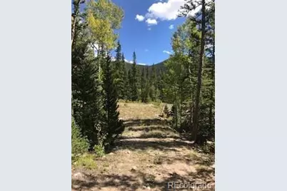 522 Quartzville Road, Alma, CO 80420 - Photo 44