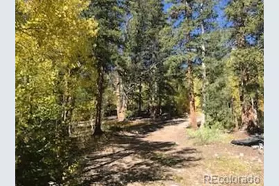 522 Quartzville Road, Alma, CO 80420 - Photo 36
