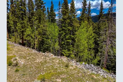 522 Quartzville Road, Alma, CO 80420 - Photo 24