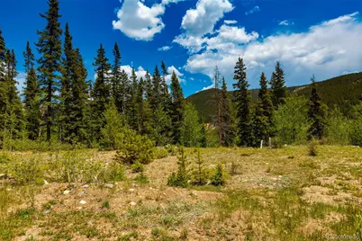 522 Quartzville Road, Alma, CO 80420 - Photo 30
