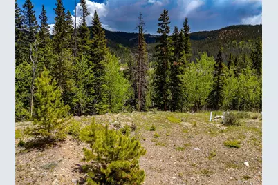 522 Quartzville Road, Alma, CO 80420 - Photo 26