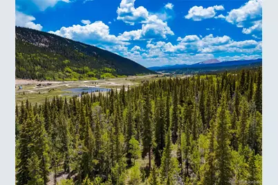 522 Quartzville Road, Alma, CO 80420 - Photo 10