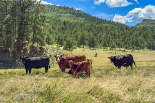 400 Bear Trax Dr, Canon City, CO 81212 - Photo 48