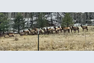 400 Bear Trax Drive, Canon City, CO 81212 - Photo 46