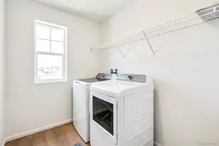 1821 Water Birch Wy, Castle Rock, CO 80108 - Photo 30