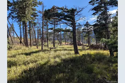 2127 Sigler Drive, Fort Garland, CO 81133 - Photo 10