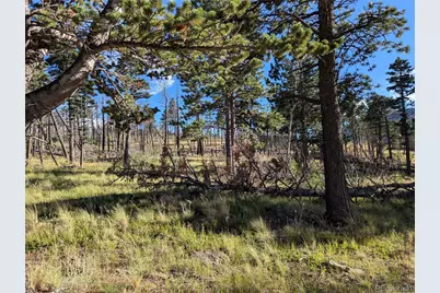 2127 Sigler Drive, Fort Garland, CO 81133 - Photo 2