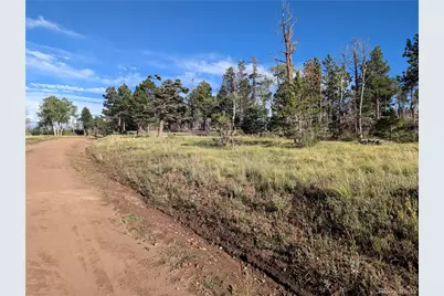 2127 Sigler Drive, Fort Garland, CO 81133 - Photo 4