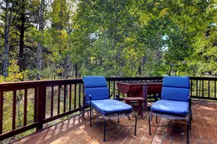 11800 S Ridge Rd, Conifer, CO 80433 - Photo 12