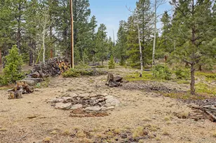 76 Highlands Dr, Bailey, CO 80421 - Photo 40