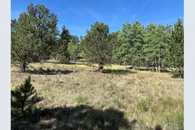 519 Hayhook Way, Hartsel, CO 80449 - Photo 6