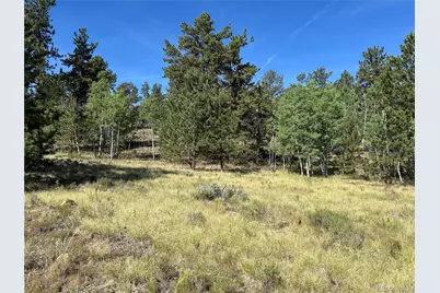 519 Hayhook Way, Hartsel, CO 80449 - Photo 4