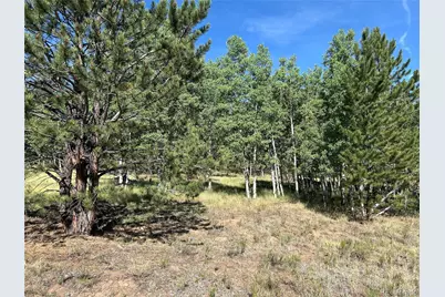 519 Hayhook Way, Hartsel, CO 80449 - Photo 8