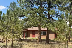 63 Fitzsimmons Rd, Bailey, CO 80421 - Photo 1