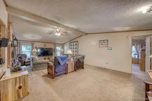 115 Arapahoe Rd, South Fork, CO 81154 - Photo 6