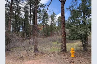 4885 Red Rock Drive, Larkspur, CO 80118 - Photo 2