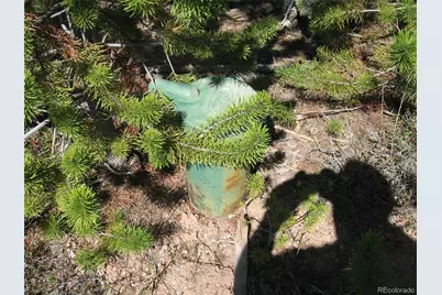 1384 Rocky Mountain Drive, Grand Lake, CO 80447 - Photo 32