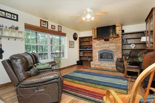 29750 Co Rd 353, Buena Vista, CO 81211 - Photo 4