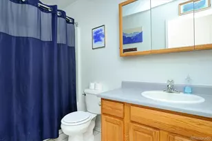 29750 Co Rd 353, Buena Vista, CO 81211 - Photo 16