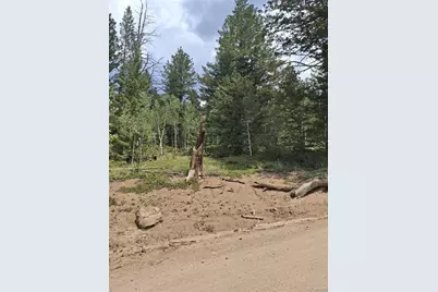 865 Okmulgee Circle, Red Feather Lakes, CO 80545 - Photo 8