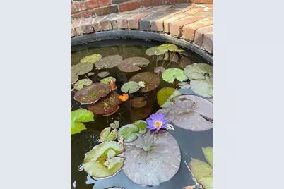 3311 N Josephine Street, Denver, CO 80205 - Photo 44