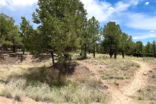 Tract 6 Philleo Annex Hemlock St, Crestone, CO 81131 - Photo 1