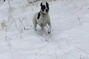 1686 Cimarron Dr, Hartsel, CO 80449 - Photo 8