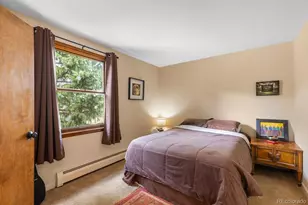 8600 S Warhawk Rd, Conifer, CO 80433 - Photo 12