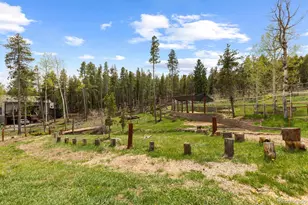 8600 S Warhawk Rd, Conifer, CO 80433 - Photo 48