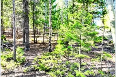 111 Swift Claim Road, Georgetown, CO 80444 - Photo 4