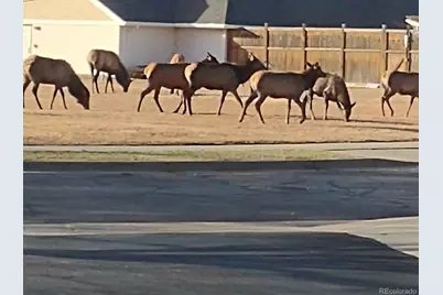 264 Shupe Circle, Loveland, CO 80537 - Photo 18