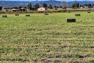 895 B St, Penrose, CO 81240 - Photo 8