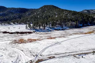 36 Valley Cir, Guffey, CO 80820 - Photo 26