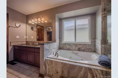 10071 Silver Maple Circle, Highlands Ranch, CO 80129 - Photo 32