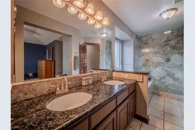 10071 Silver Maple Circle, Highlands Ranch, CO 80129 - Photo 30