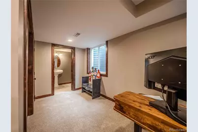 10071 Silver Maple Circle, Highlands Ranch, CO 80129 - Photo 48