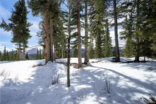 410 Bobcat Ln, Fairplay, CO 80440 - Photo 14