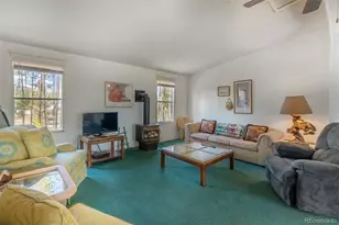 135 Gcr 480, Grand Lake, CO 80447 - Photo 4