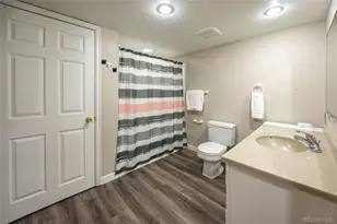 6539 Shannon Trail, Highlands Ranch, CO 80130 - Photo 44